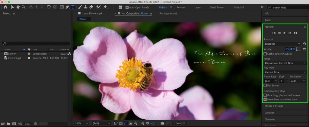 How to Resize Text In After Effects | aejuice.com