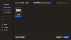 how to import after effects file in premiere pro