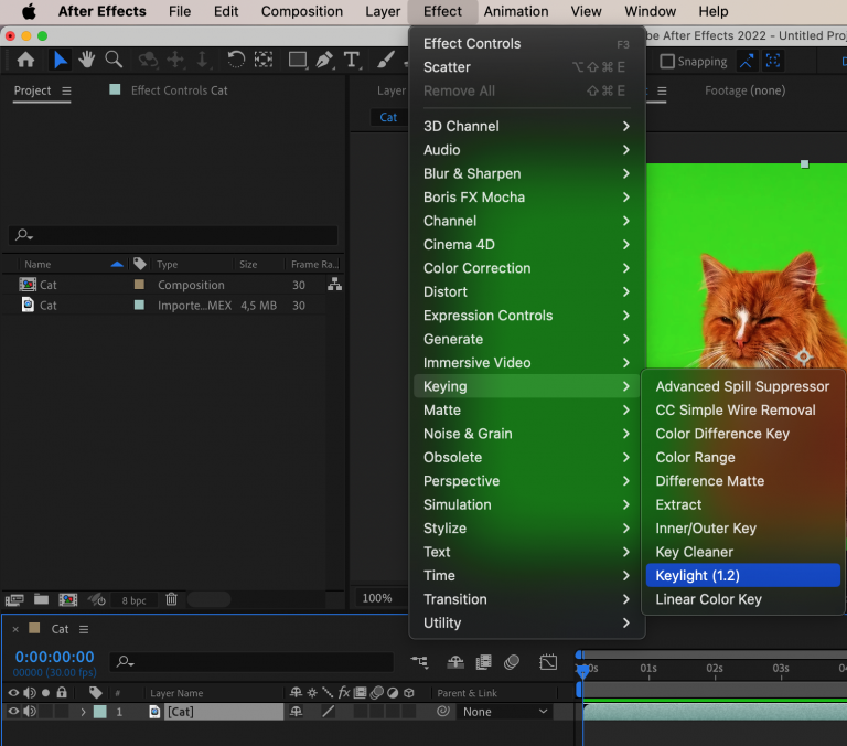 get rid of green screen after effects