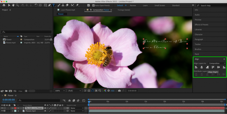 How to Resize Text In After Effects | aejuice.com