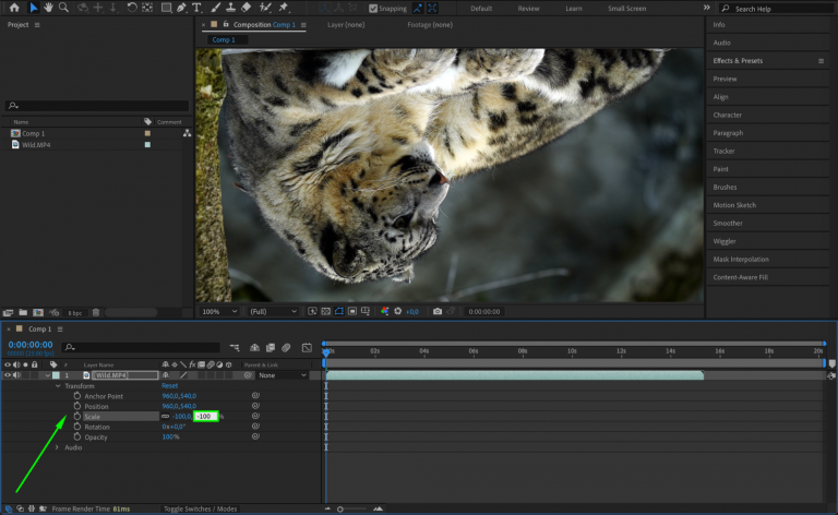 How to Invert a Video in After Effects | aejuice.com