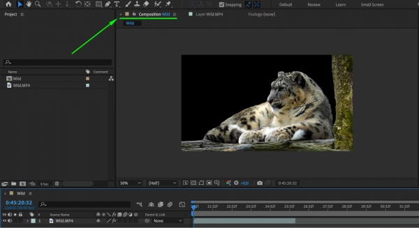 How to Cut Out Background in After Effects | aejuice.com