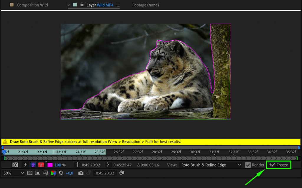 How to Cut Out Background in After Effects | aejuice.com