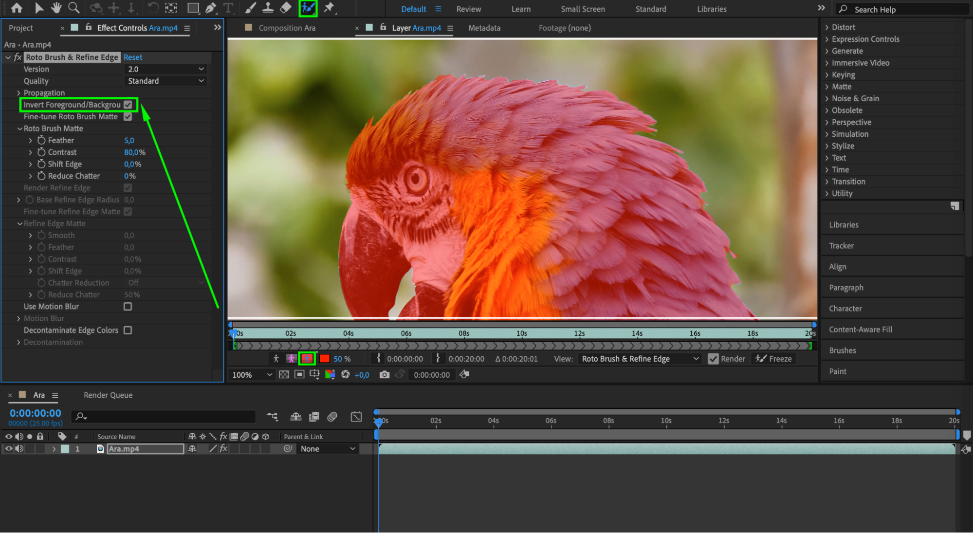 rotobrush after effects cs4 plugin download